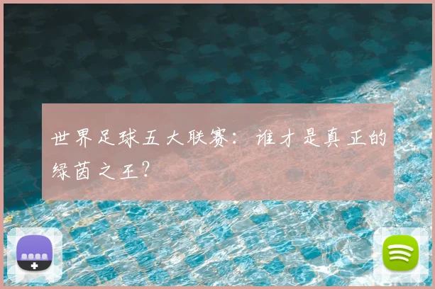 世界足球五大联赛:谁才是真正的绿茵之王?