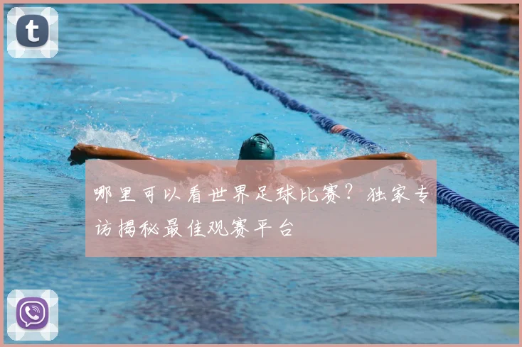 哪里可以看世界足球比赛?独家专访揭秘最佳观赛平台