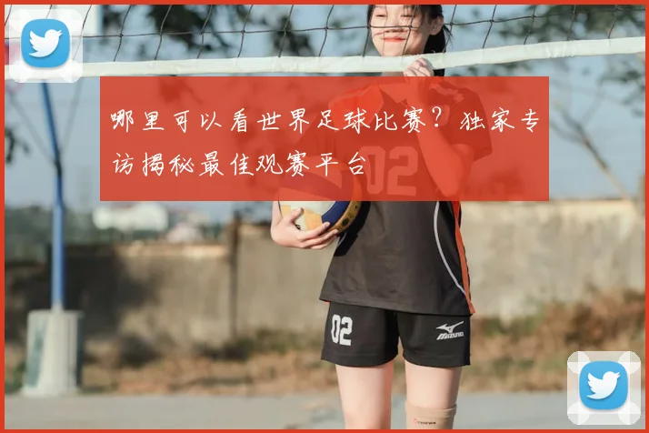 哪里可以看世界足球比赛？独家专访揭秘最佳观赛平台