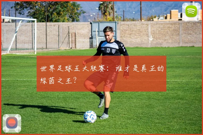 世界足球五大联赛：谁才是真正的绿茵之王？